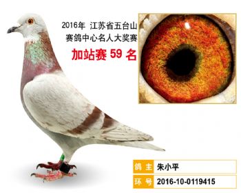 加站赛59名