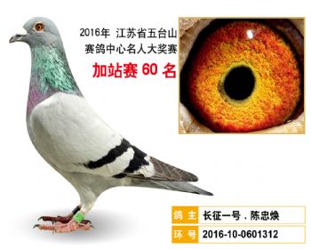 加站赛60名
