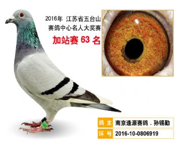 加站赛63名