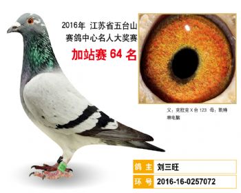 加站赛64名