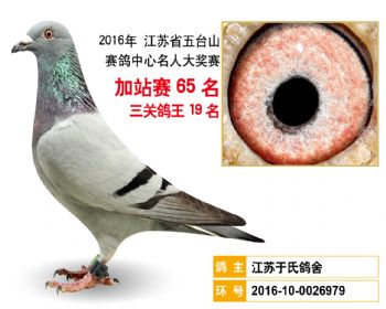加站赛65名