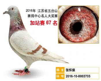 加站赛67名