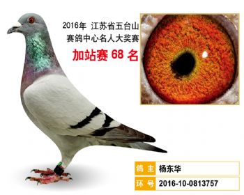 加站赛68名