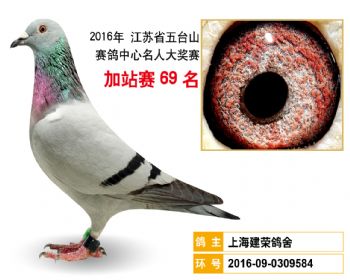 加站赛69名