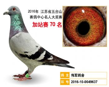 加站赛70名