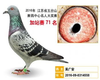 加站赛71名