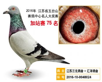 加站赛75名