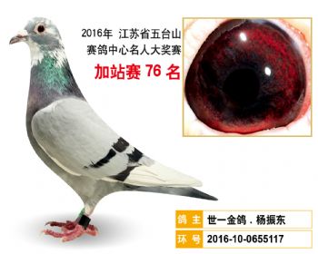 加站赛76名