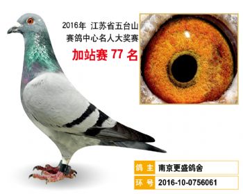 加站赛77名