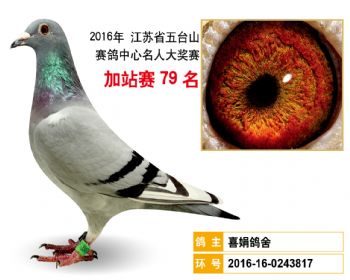 加站赛79名
