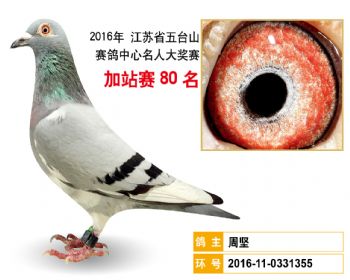 加站赛80名