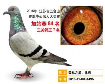 加站赛84名