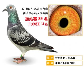 加站赛89名