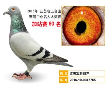加站赛90名