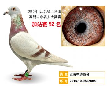 加站赛92名