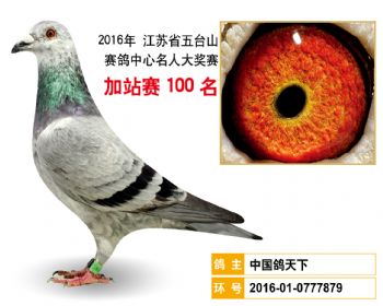 加站赛100名