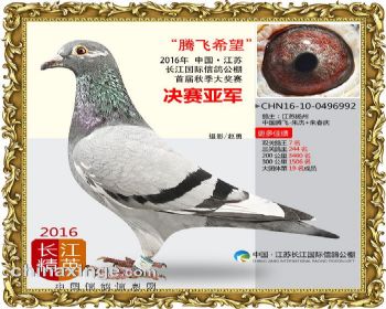 江苏长江决赛亚军