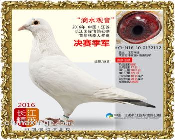 江苏长江决赛季军