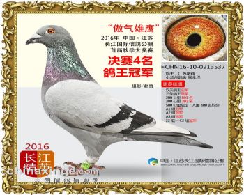 江苏长江决赛4名