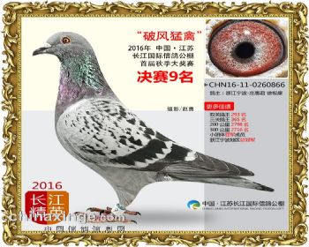 江苏长江决赛9名