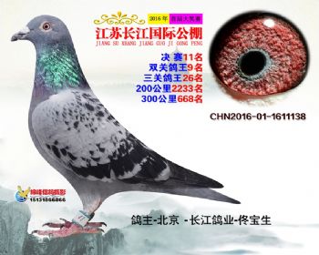 江苏长江决赛11名