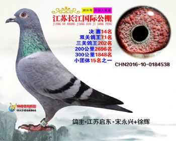 江苏长江决赛14名