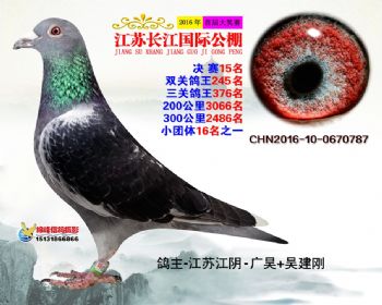 江苏长江决赛15名
