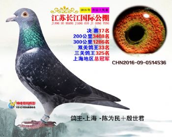 江苏长江决赛17名
