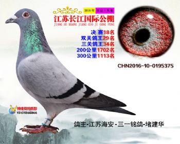 江苏长江决赛18名
