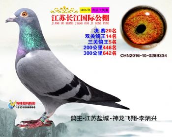 江苏长江决赛20名