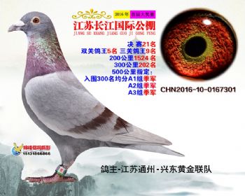 江苏长江决赛21名