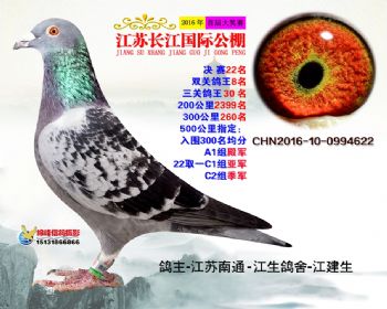 江苏长江决赛22名