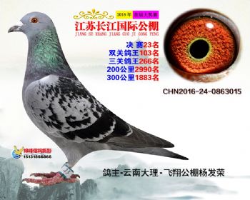 江苏长江决赛23名
