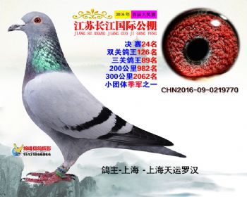 江苏长江决赛24名