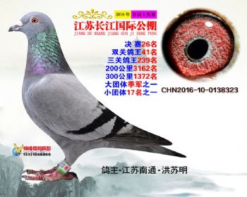 江苏长江决赛26名