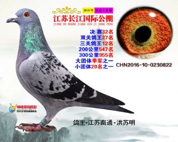 江苏长江决赛32名
