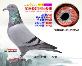 江苏长江决赛36名