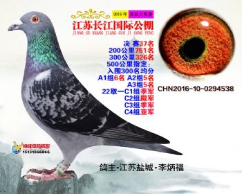 江苏长江决赛37名