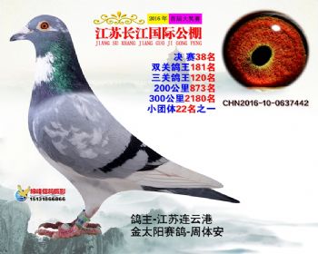 江苏长江决赛38名