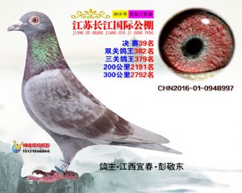 江苏长江决赛39名