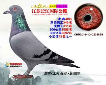 江苏长江决赛40名