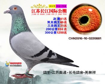 江苏长江决赛41名