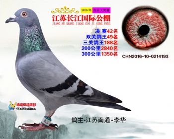 江苏长江决赛42名