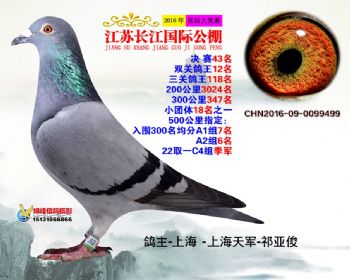江苏长江决赛43名