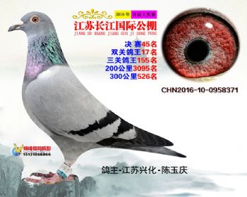 江苏长江决赛45名