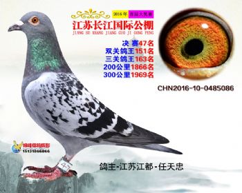 江苏长江决赛47名