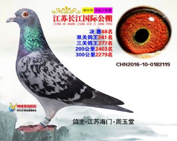 江苏长江决赛48名