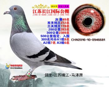 江苏长江决赛49名