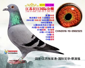 江苏长江决赛50名