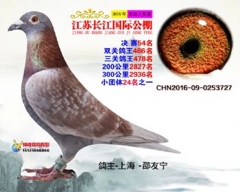 江苏长江决赛54名